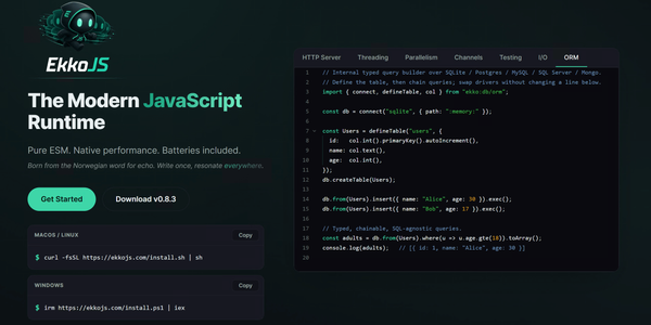 Meet EkkoJS: The JavaScript Runtime That Doesn't Apologise for Starting Fresh